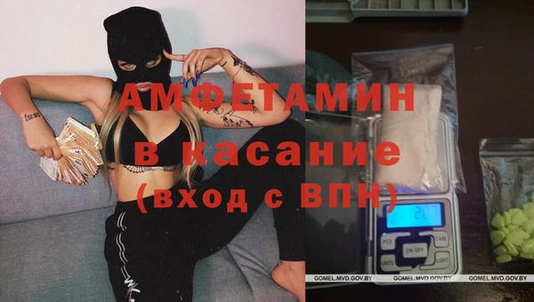 прущие грибы Зерноград
