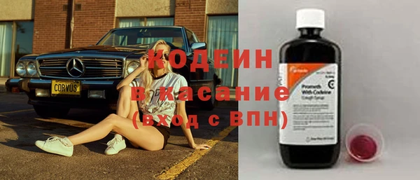 первитин Инсар