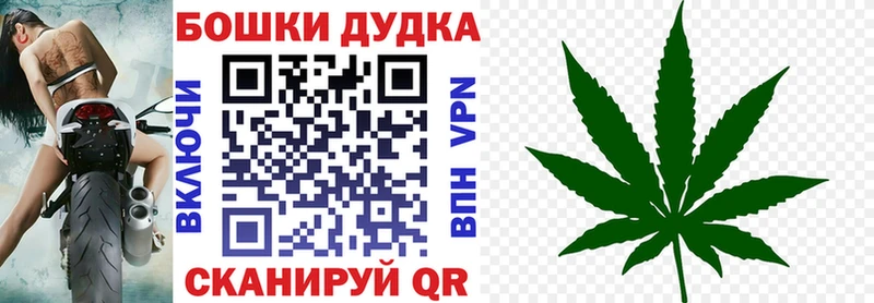 Конопля MAZAR  Щучье 